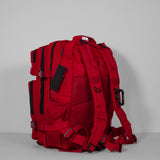 Раница EXPLORER 45L